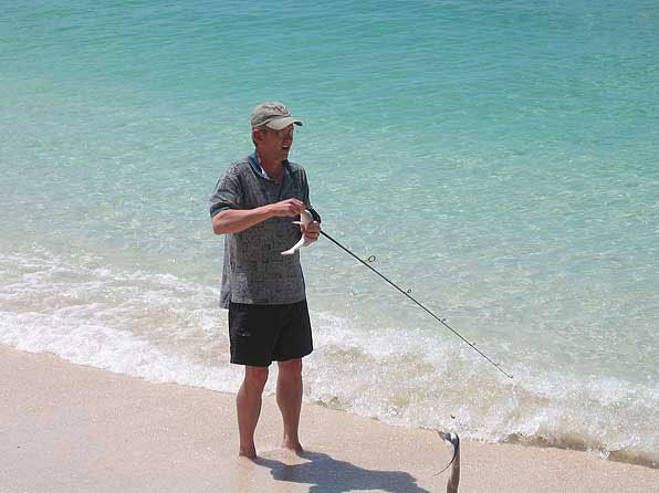 Siesta Key Fisherman's Fish off the beach